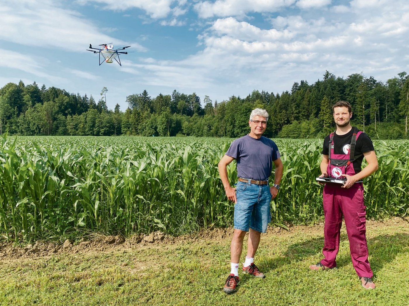 Landwirt Matthias Schälchli (links) mit Drohnenpilot Thomas Widmer, während die Drohne automatisch das Maisfeld abfliegt und Trichogramma-Kugeln abwirft. (Bilder Katrin Erfurt)