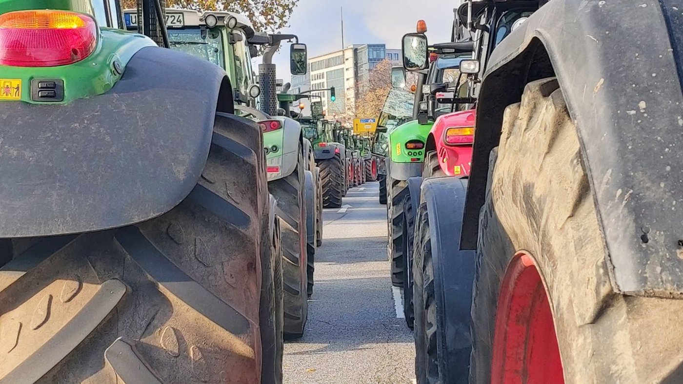 Die Protestaktion in Hamburg wurde vom Aktionsbündnis Forum Natur getragen (Bild Jörg Wernien/ Twitter)