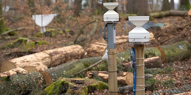 Regenmesser erfassen die Niederschlagsmenge. (Universität Basel)