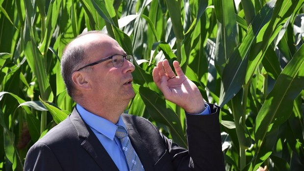 Markus Ritter bleibt für weitere vier Jahre im Amt als Präsident des Schweizer Bauernverbands. (Bild ke)