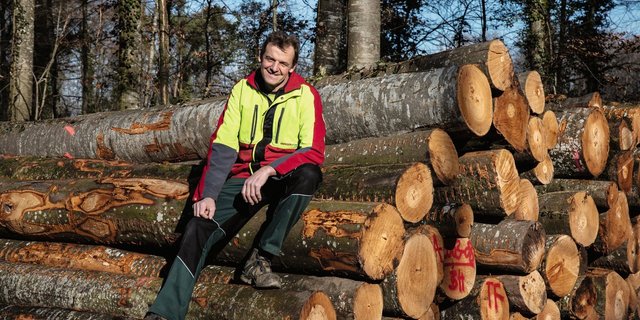 Thomas Frieden bei einem Holzlager in Aarberg BE, welches demnächst gesägt und gespalten wird. Bild: Pia Neuenschwander