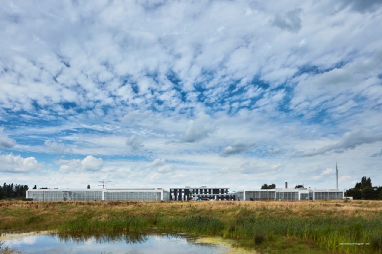 Das Areal des neuen Innovationszentrums ist so gross wie vier Fussballfelder. (Bild Steven Massart)