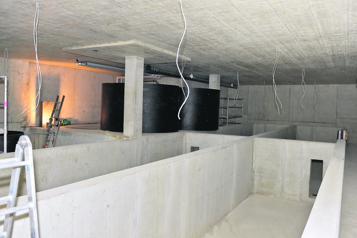 ... entsteht aus einem ehemaligen Kuhstall eine Shrimps-Farm. Die Schweiz importiert jährlich 8000 Tonnen dieser Meerestiere. Das soll sich nun ändern.