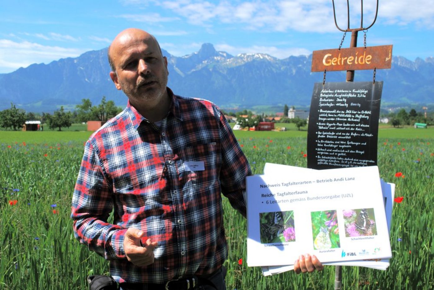 ... fand Lukas Pfiffner vom FibL hier auch 20 Tagfalterarten. Das Feld gehört ...