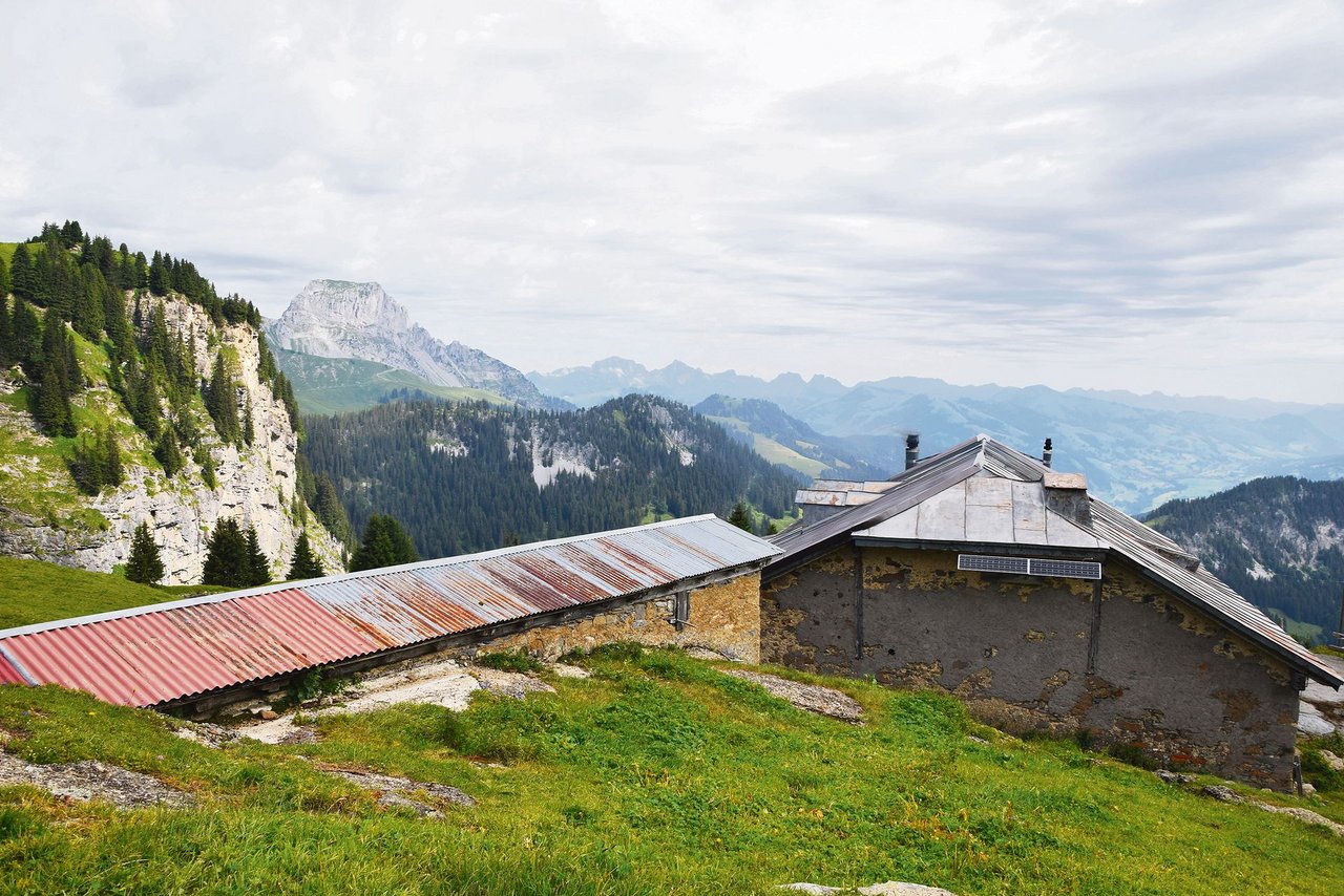 Die Alphütte, der schön gelegene Alp Meiel, liegt fast auf 2000 m ü. M. 