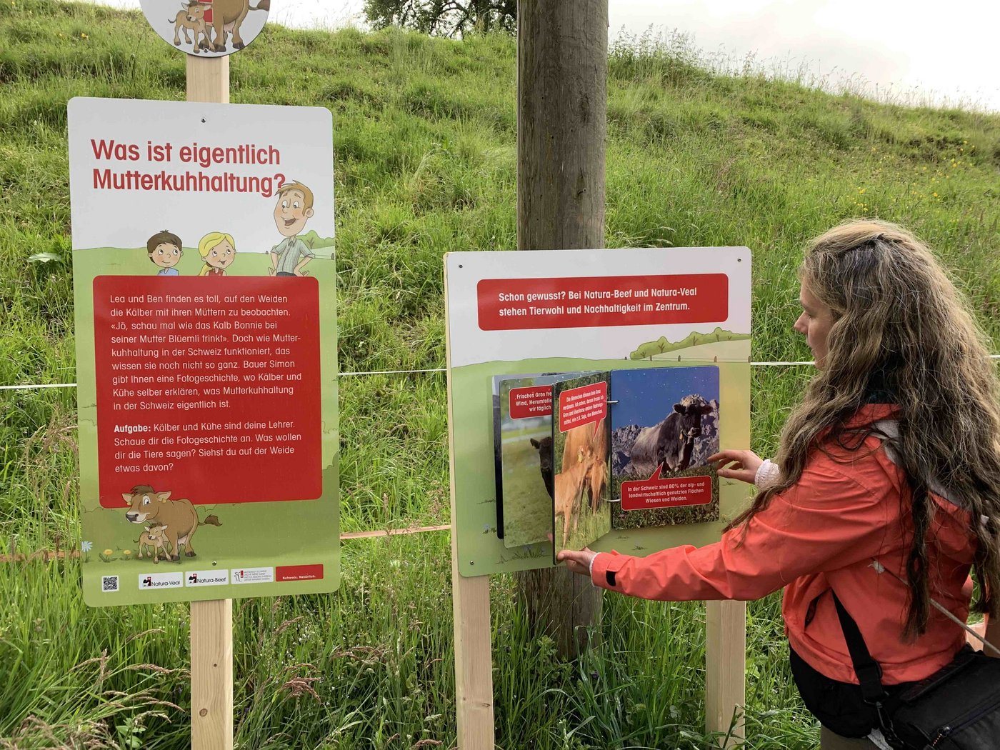 An zehn Posten können die Besucher mehr über die Mutterkuhhaltung lernen.