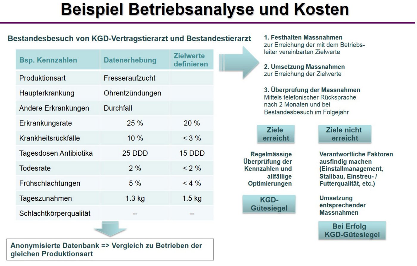 Das Vorgehen bei der Betriebsanalyse. (Folie aus der Präsentation von Corinne Dähler)