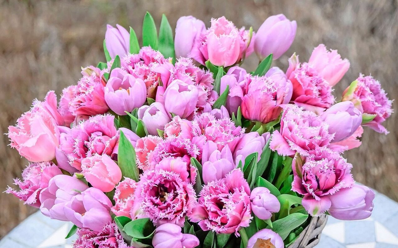 Farbenfreude im Frühling: Ein Ton-in-Ton-Strauss mit unterschiedlichen Tulpen. In der Saison 2025 sind gefüllte und gefranste Tulpen angesagt. 
