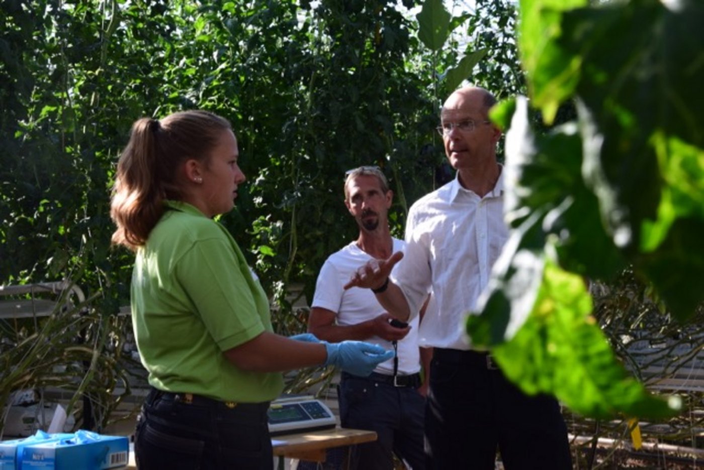 Nadja Thurnheer muss gleich Tomaten pflegen und ernten.