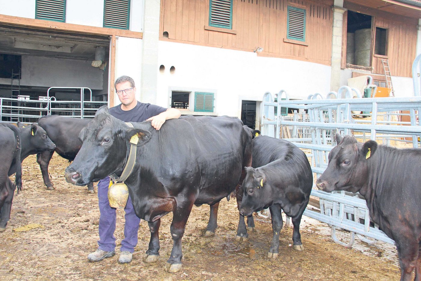 Beim Umgang mit Tieren sei es wichtig, sich Zeit zu nehmen und ruhig mit den Tieren zu kommunizieren, sagt Muniflüsterer Armon Fliri. Mit einem Hauruck-Verfahren löse man nur Abwehrreflexe aus, was nicht zum Ziel führe. (Bild Christian Weber)