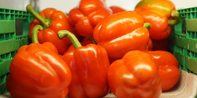 Wenn die Produktion in der EU zunehmend tierfreundlicher  und ökologischer wird, muss die Schweiz nachziehen. Sonst könnte die gute Schweizer Landwirtschaft als Verkaufsargument für inländische Produkte wegfallen, befürchtet Bio Suisse. (Bild Pixanbay)