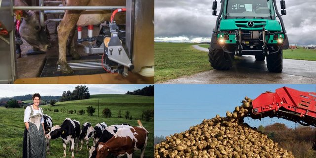 «AgrarPodcast»-Themen der 2. Sendung: Melkroboter, Agrar-Unimog, Landfrauenküche und Zuckerrüben. (Bild: «die grüne»)