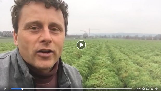 Für die Ernte war es zu nass auf dem Feld von Bauer Daniel Maag: Per Video machte er darauf aufmerksam, dass man sich die Rüebli nun gratis holen dürfe. (Bild Screenshot Facebook)