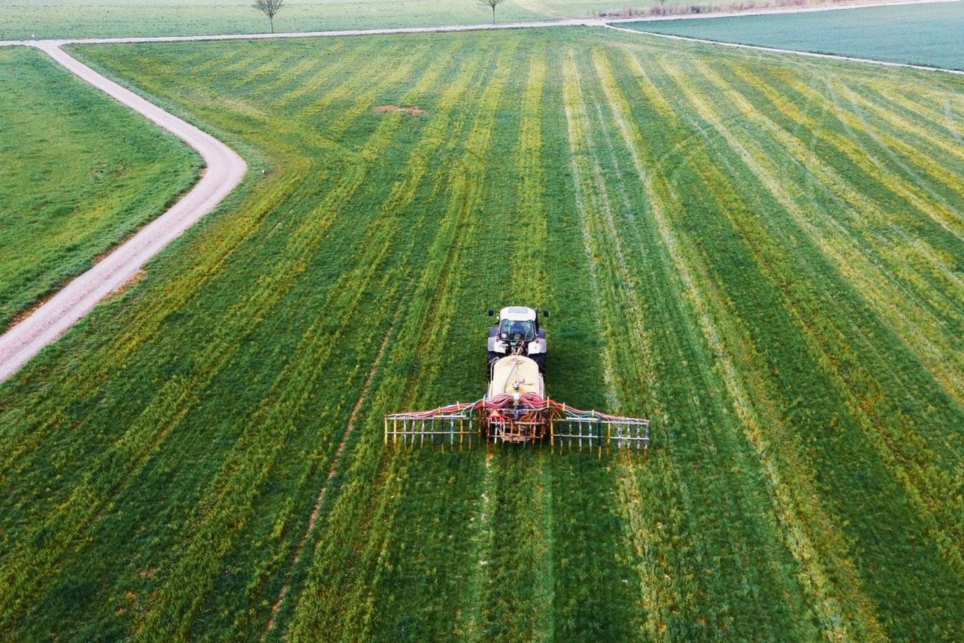 Die meisten Landwirte verbringen ihre Zeit lieber auf dem Feld als im Büro. Nun startet im Gelan-Gebiet ein Schnelltest, der Zeit beim Ausfüllen der Suisse-Bilanz sparen soll. (Bild Archiv BauZ)