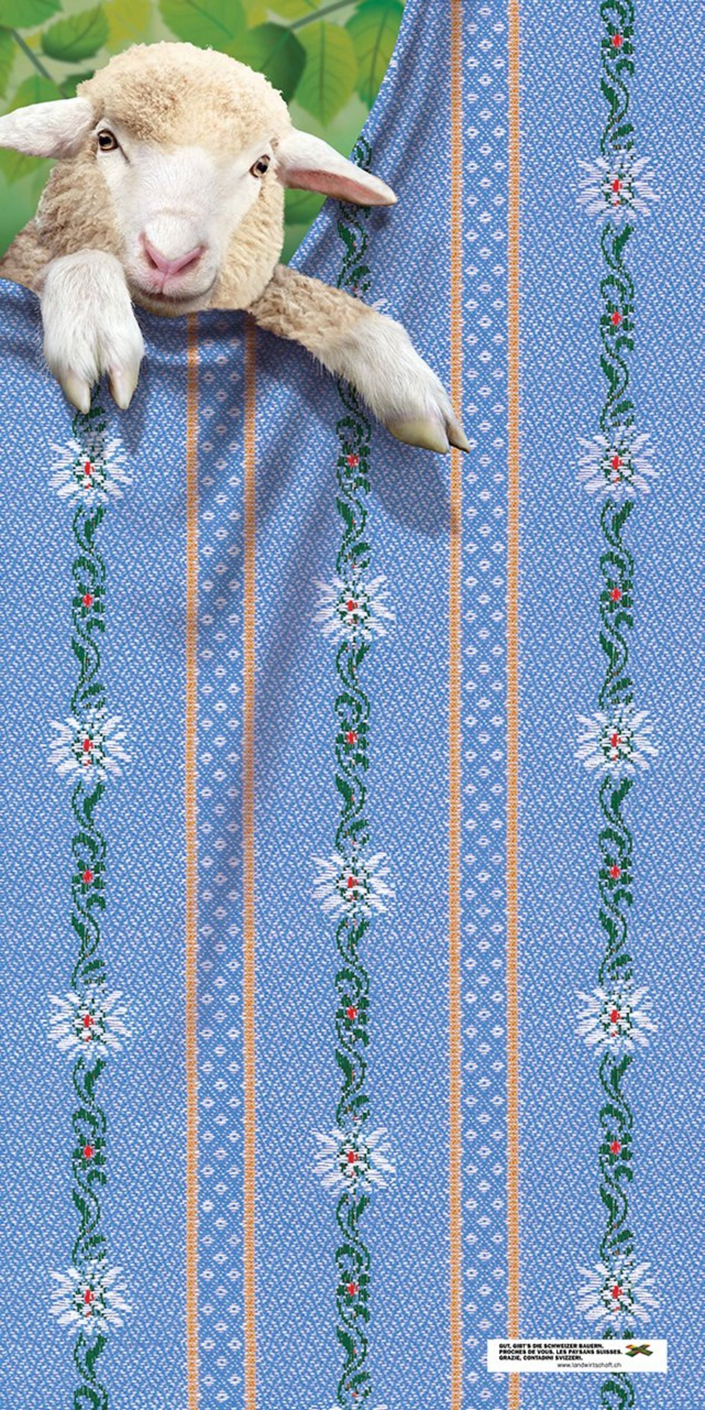 Das neue Badetuch «Schaf». (Bild lid)