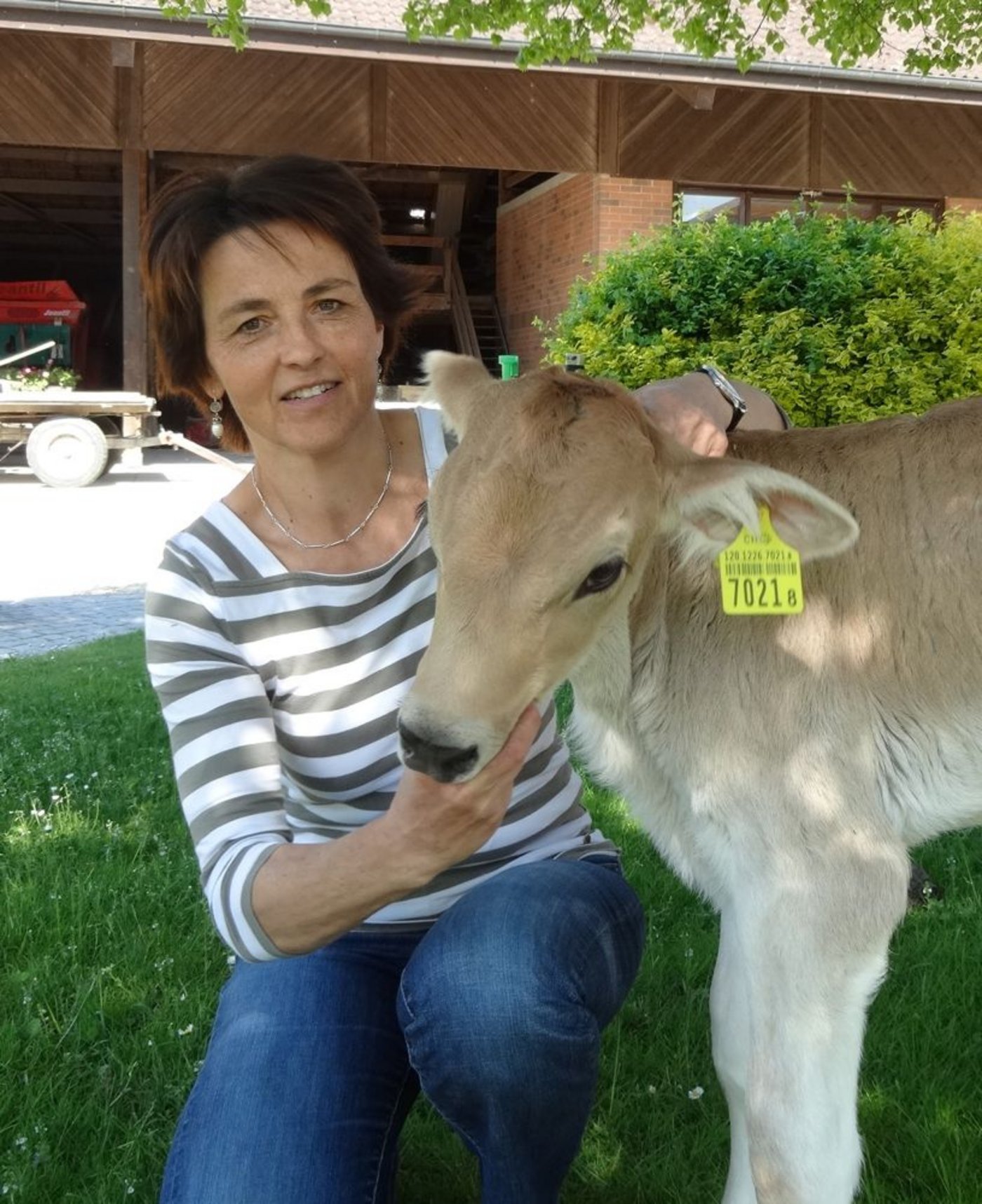 Kälbchen Nadja darf mit aufs Bild, es ist zutraulich und geniesst täglich, von Hermine Frei betreut, Auslauf im Hof. (Bild mr)