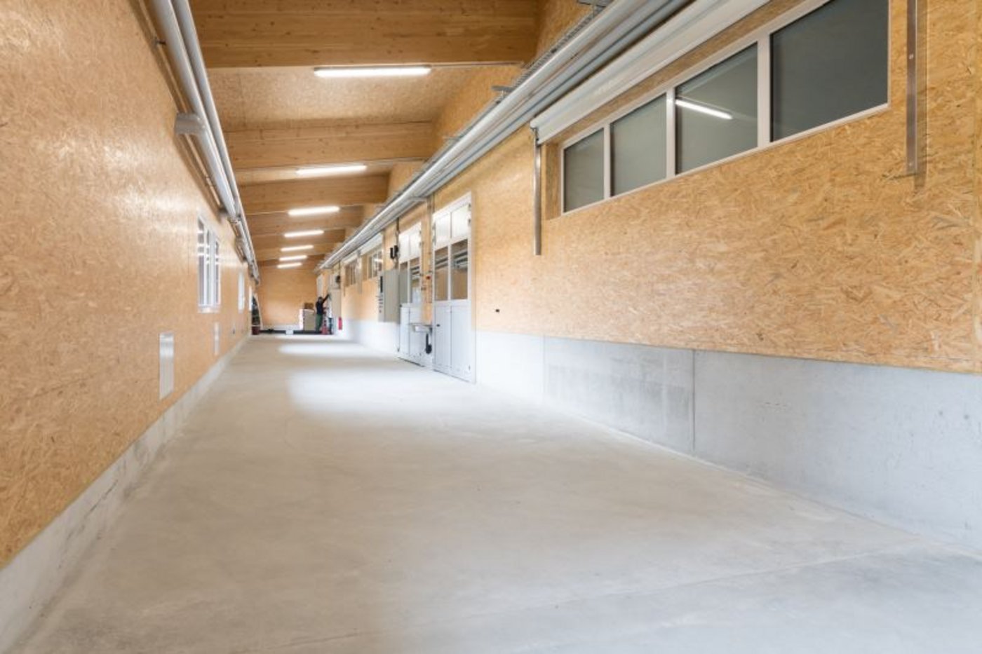 Bediengang zu den vier Versuchsställen. (Bild z.V.g.)