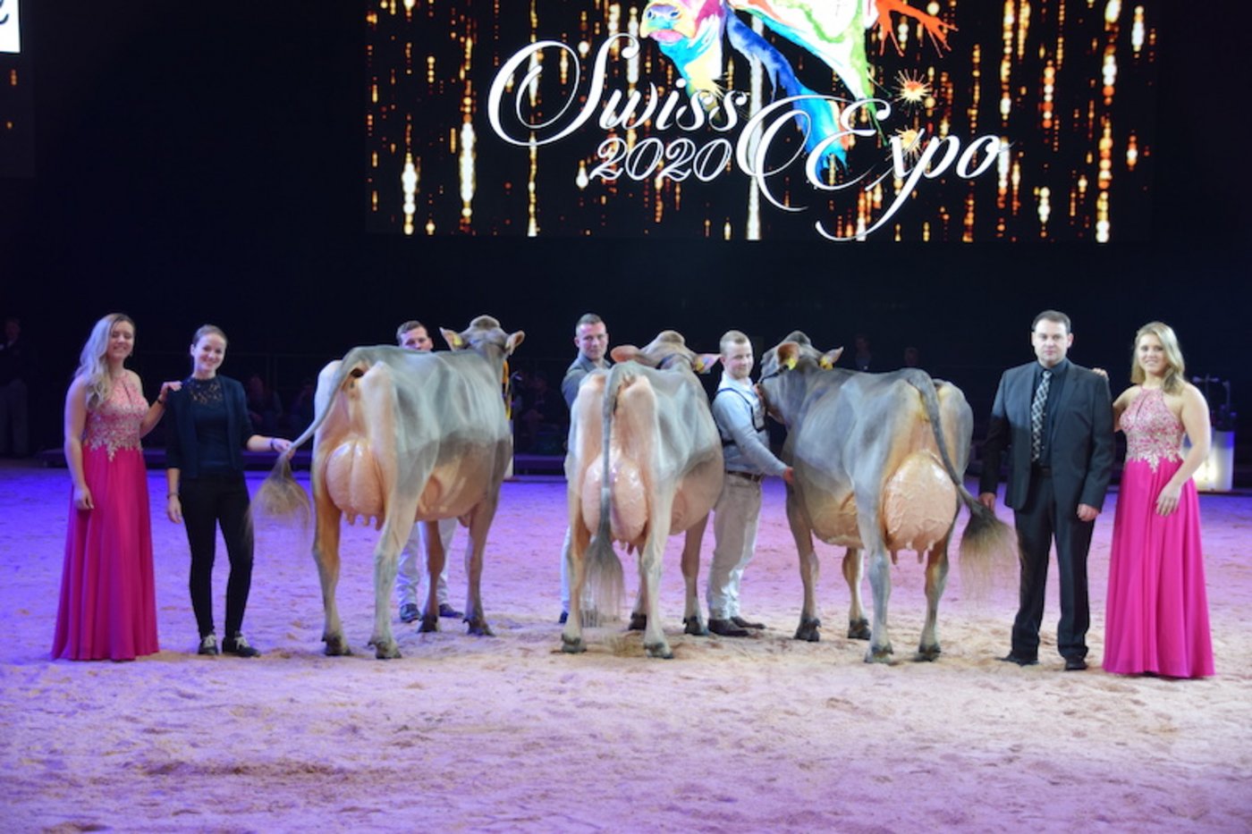 Die Schöneuterwahl der älteren Kühe (v. r. n. l.): Schöneuter Glenny Gina; Reserve Jongleur Wendy und die Drittplatzierte Alino Blena.