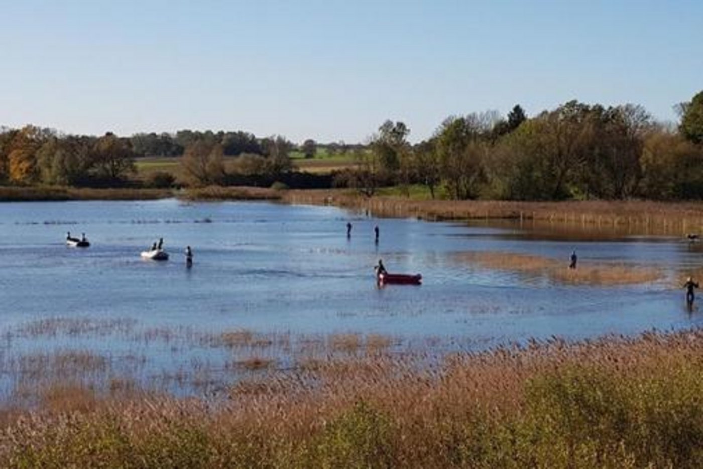 Grosseinsatz im Oktober 2017:  Das Kalb wehrte sich gegen alle Rettungsversuche der Feuerwehr. (Bild Feuerwehr Dassow)