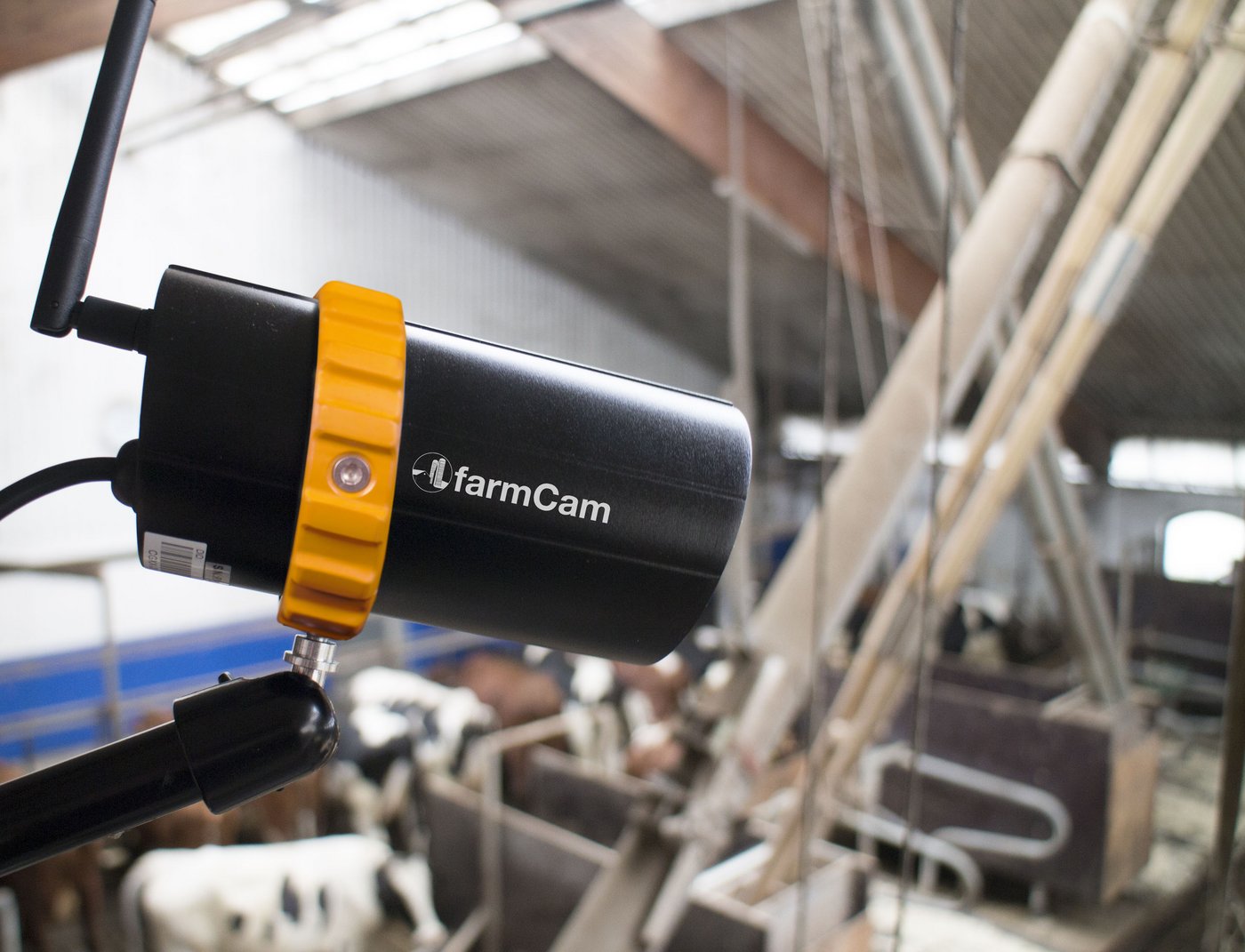 Mit Hilfe der Kamera können die Landwirte vom Handy aus sehen, was in der Abkalbebucht passiert. (zvg)