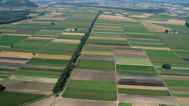 Das grosse Moos zeigt es gut: landwirtschaftliche Böden geben je nach Bearbeitung und Kultur CO2 speichern oder abgeben. (Bild avianna.ch)