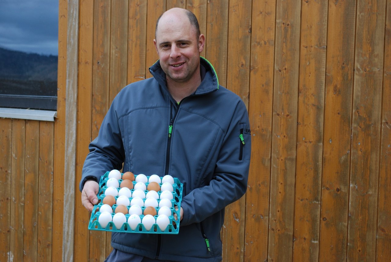 Bio-Eier sind gesucht: Ruedi Burgherr hat 2000 Legehennen. Pro Ei bekommt er 45,5 Rp.