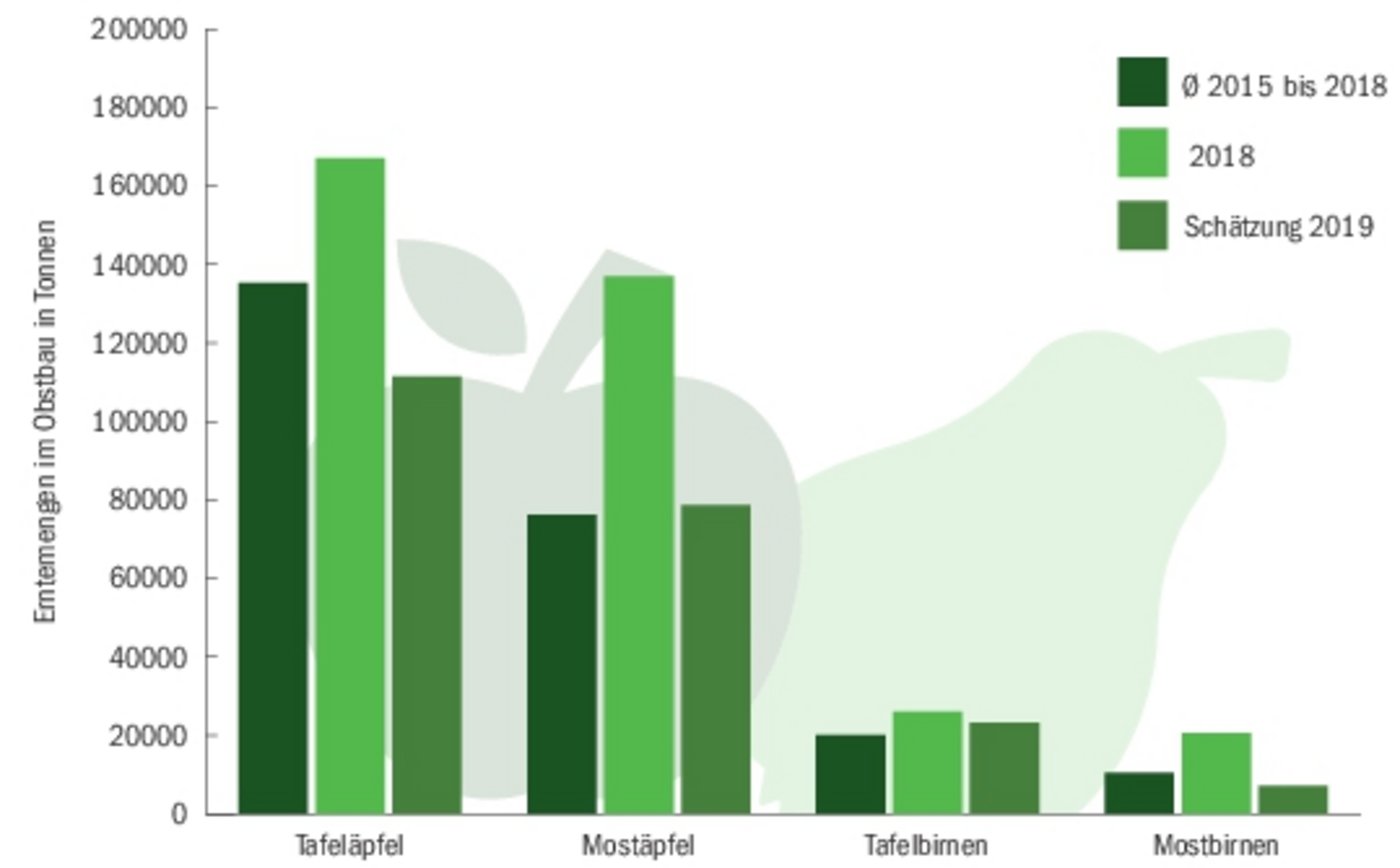 Die Obstbranche rechnet mit einer guten Ernte 2019. Die Mengen werden allerdings tiefer sein als 2018. (Zahlen SOV/Grafik BauZ)