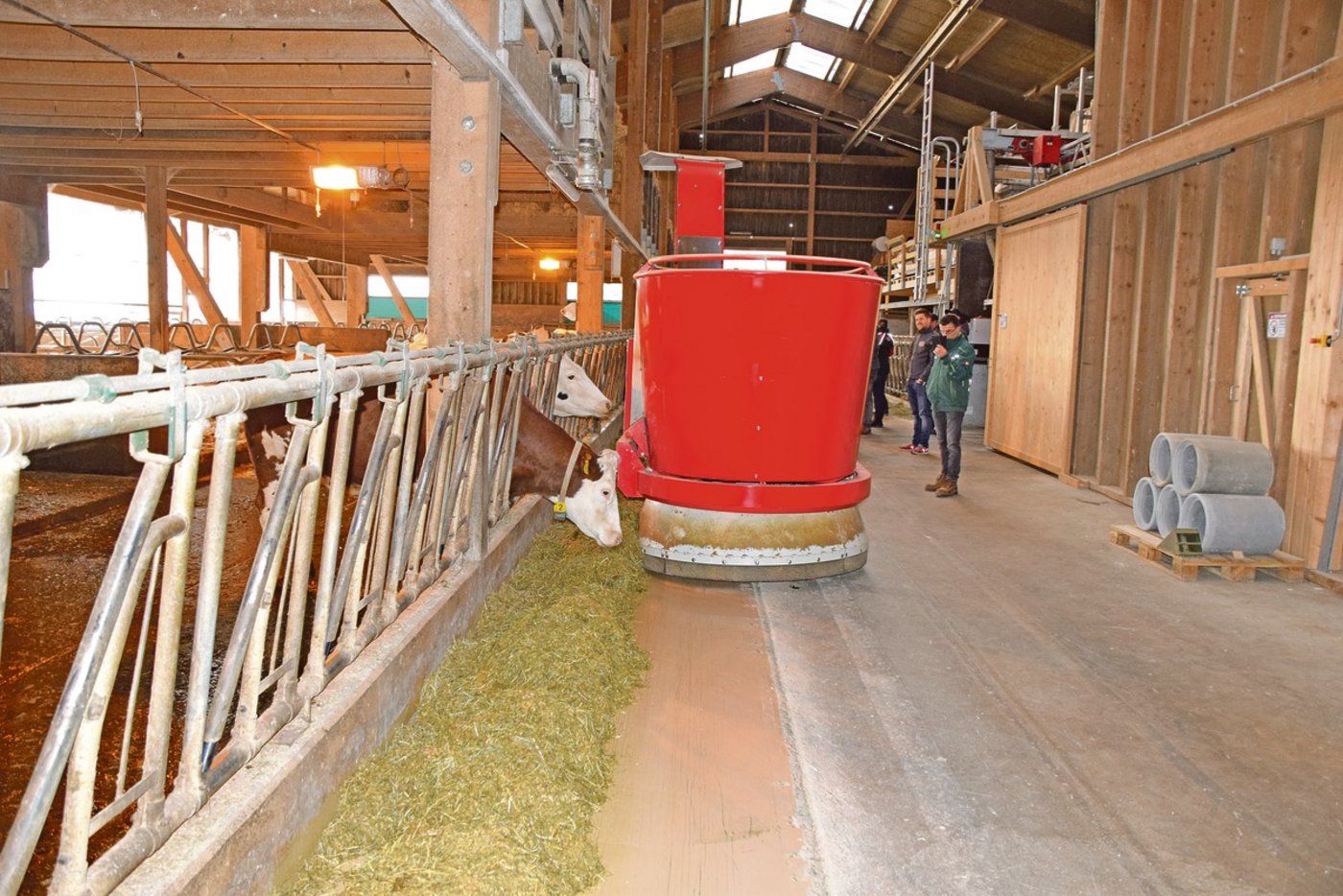 Fütterungsroboter erleichtern die Arbeit beim Futterschieben.(Bild Peter Fankhauser)