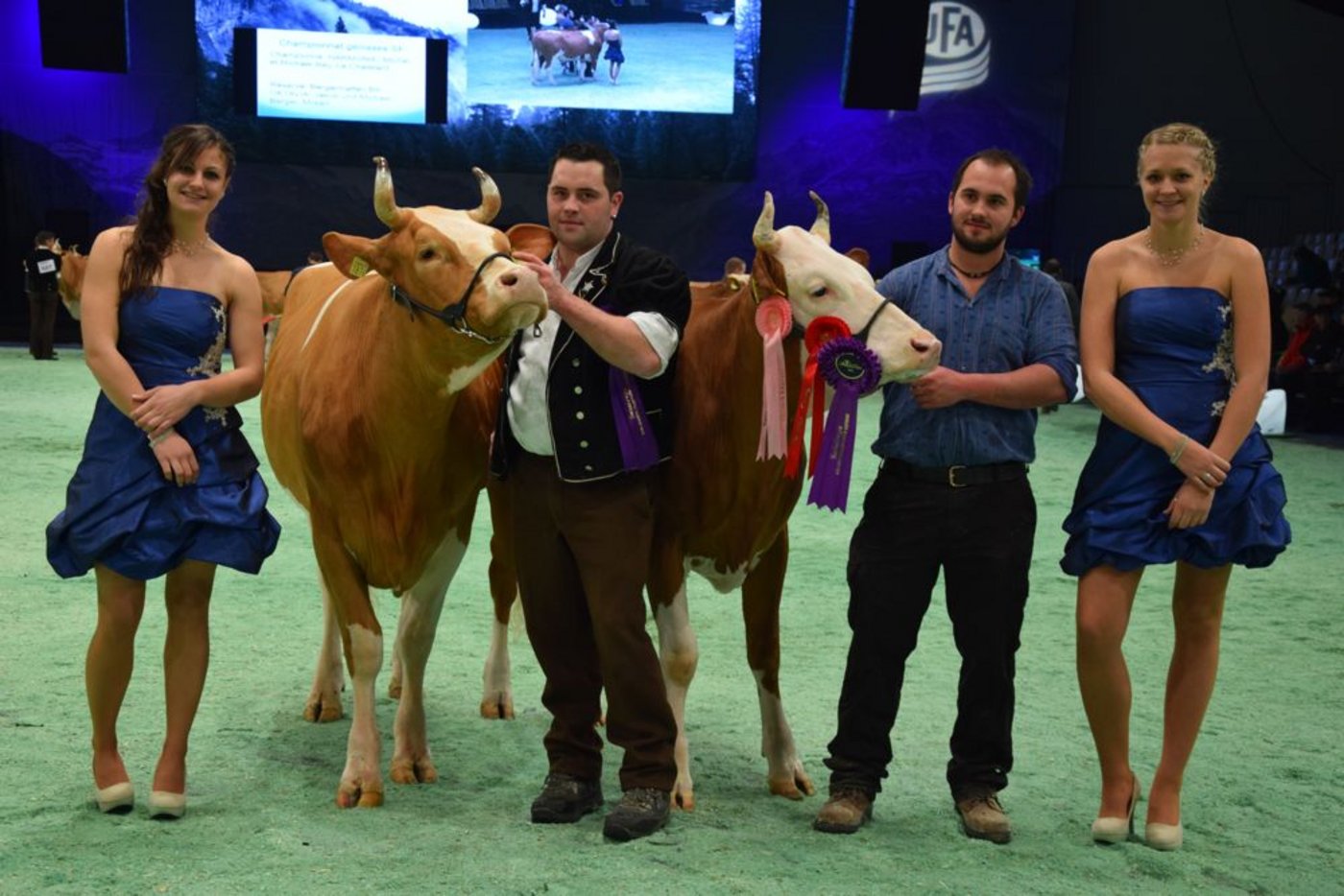 Die Junior-Champion beim Swiss Fleckvieh heisst Odyssey Harmonie von Michel und Michael Rey, Le Chatelard. Reserve-Junior-Champion wird Bergermatten Bill Oktavia von Jakob und Michael Berger aus Burgistein. 