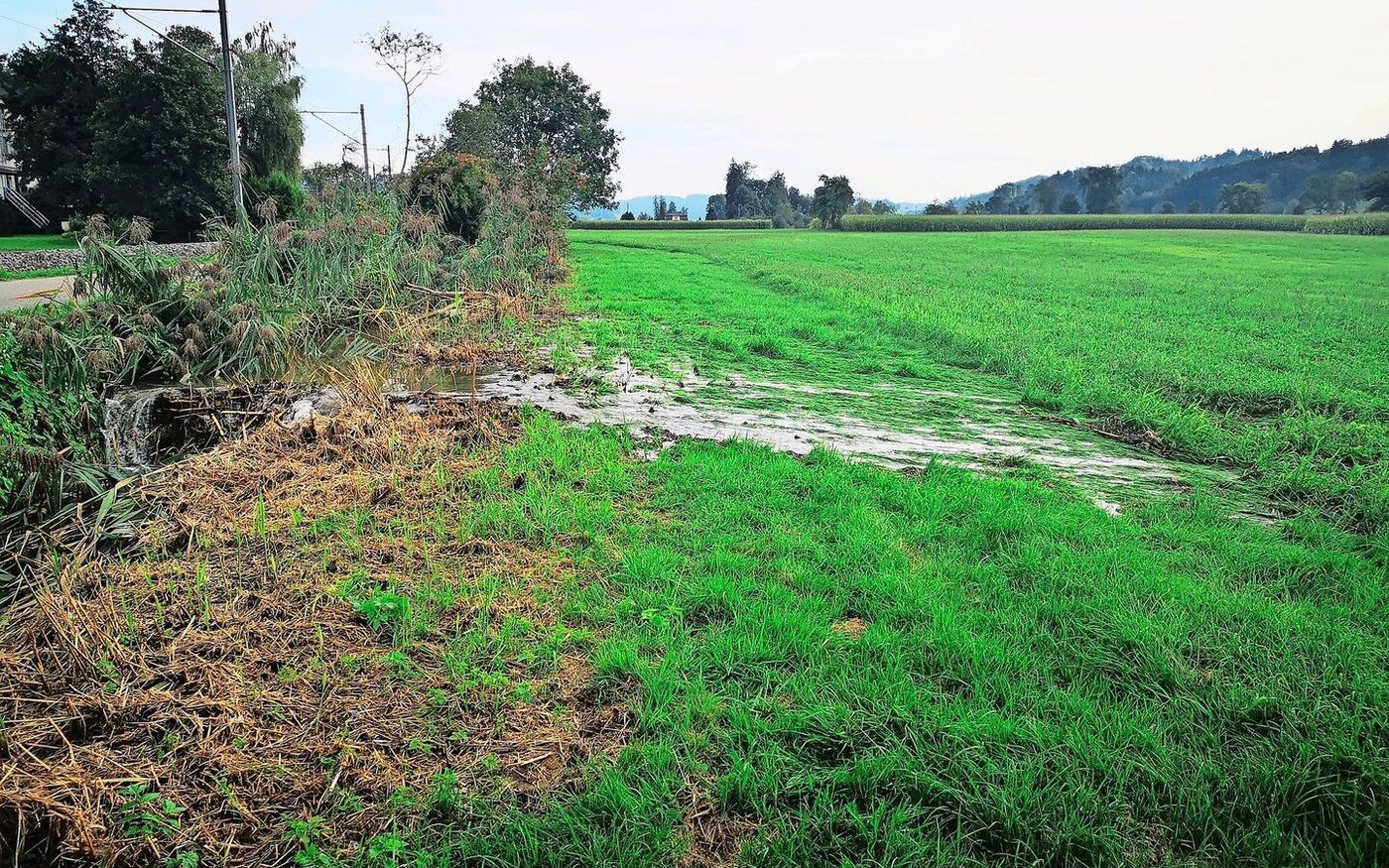 Die Kehrseite des Bauwerks sind überflutete Uferbereiche. Sowohl Land-wirtschaftsflächen als auch Wohngebiete kann es treffen.
