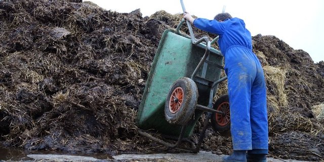 Die Lagerung von Hofdüngern führt zu Methan – das aber zur Stromerzeugung genutzt werden könnte.  (Bild rae)