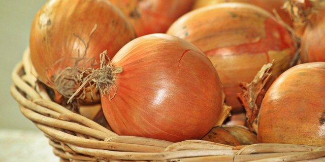 Über 1000 Berner Landwirte und Landwirtinnen haben in den letzten Jahren auf Bio umgestellt. Nun soll ihr Absatz und ihre Wertschöpfung gefördert werden. (Symbolbild Pixabay)