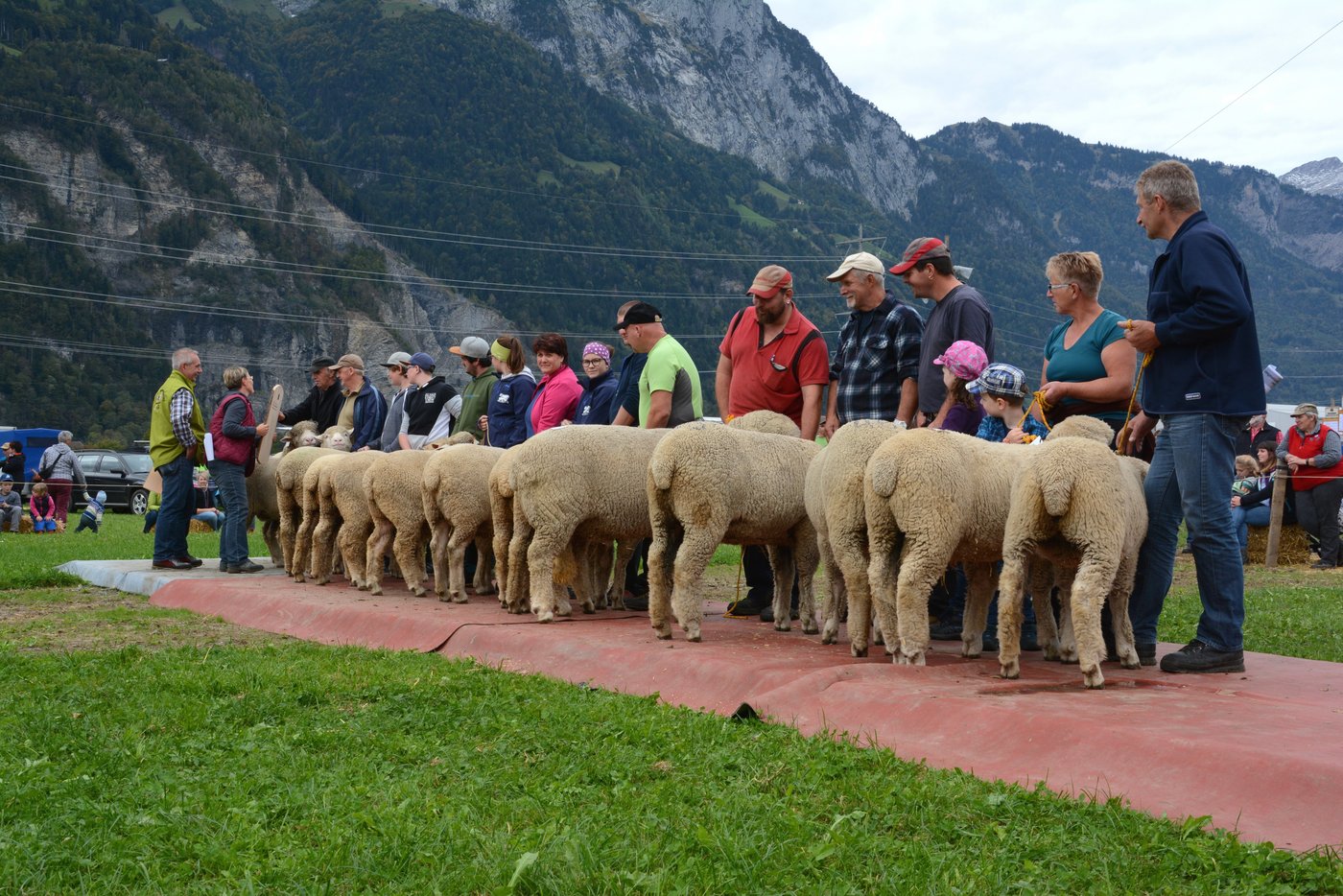 Das Podest beim Kollektionspreis Schafe (v. l. n. r.): Edy und Ruth Baumann, Altdorf; Kurt Jauch, Silenen; Thomas Epp, Silenen.