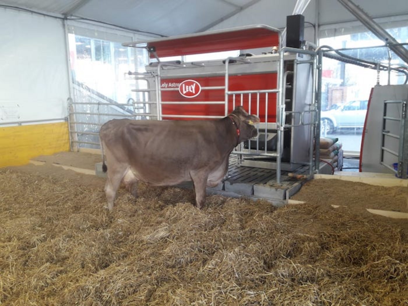 Dabei kommt ein Lely Astronaut A5 mit dem I-Flow-Konzept (gerader Ein- und Ausgang) zum Einsatz.