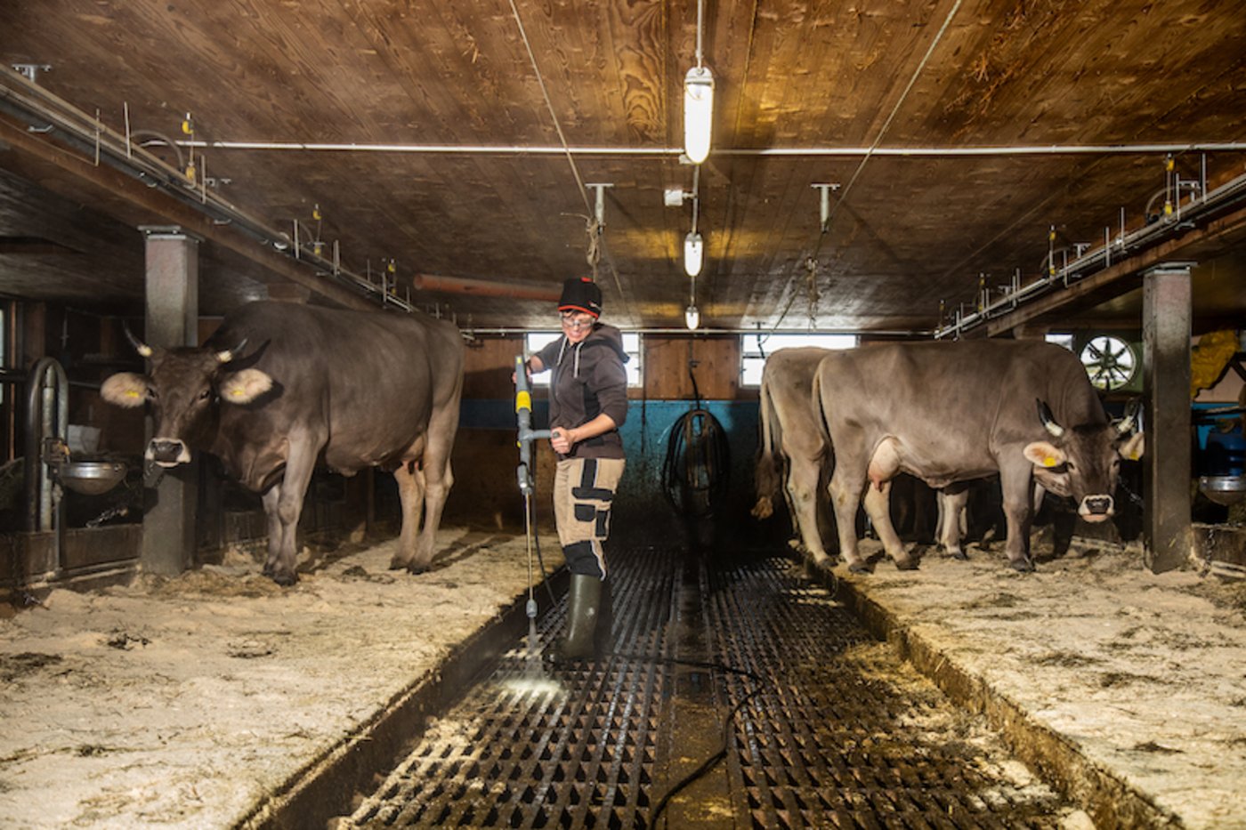 Marianne Dietrich mag es einfach gerne sauber: im Stall und im Haus.