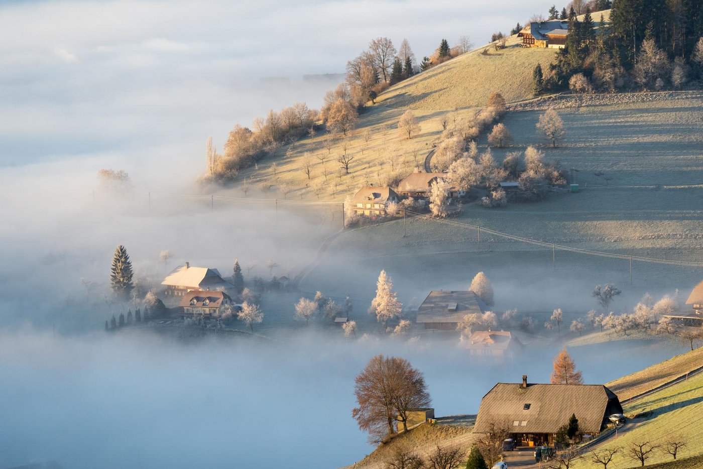 Die Reaktionen zur Sistierung der Agrapolitik 2022+ fallen unterschiedlich aus. (Bild SBV)
