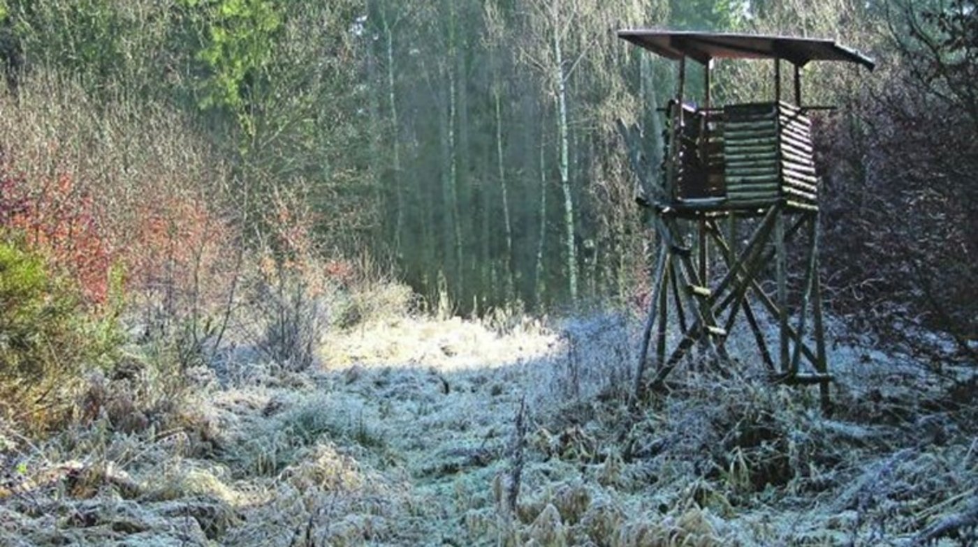 Die Kompetenzverschiebung zu den Kantonen verkürze die Entscheidungswege und erhöhe die Wirksamkeit der Regulierungsmöglichkeiten von schadenstiftenden Tieren, heisst es in einer Mitteilung des Vereins Lebensraum Schweiz ohne Grossraubtiere. (Bild Pixelio)