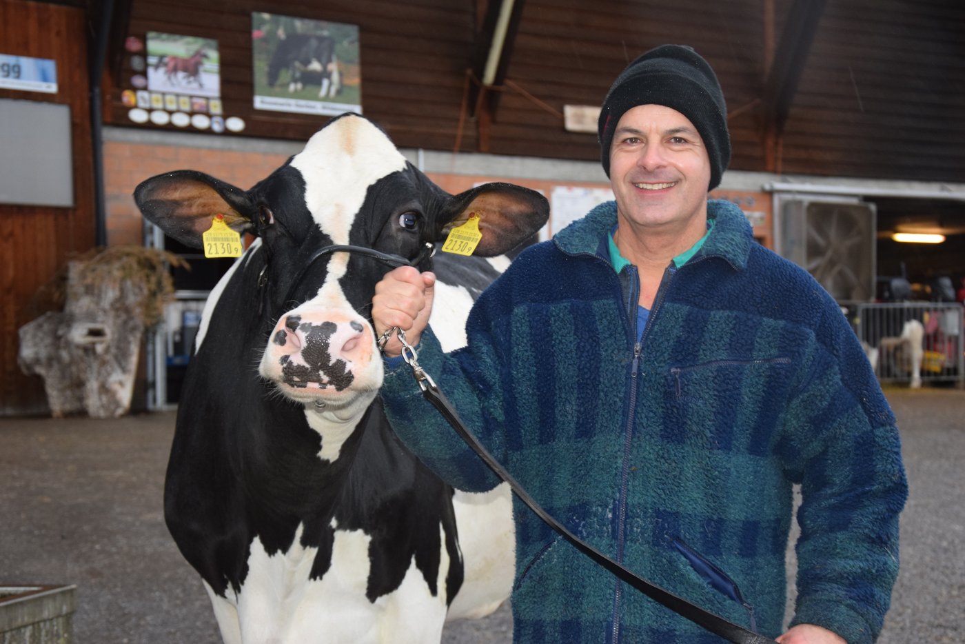 BauernZeitung-Redaktor Peter Fankhauser ist es am wohlsten bei den Kühen. (Bilder pf/rg