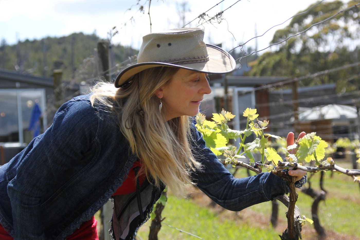 Sie und ihr Mann waren laut eigener Angaben die ersten, die auf der Insel die Traubensorte Syrah setzten. (Bild: Markus Stadler)