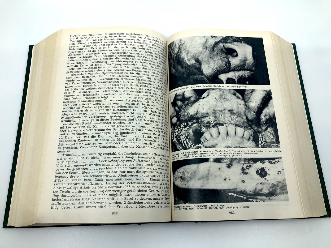 Auszug aus dem MKS-Artikel (Seite 4) von «die grüne», Ausgabenummer 27 vom 8. Juli 1966 (Bild Bauernzeitung)