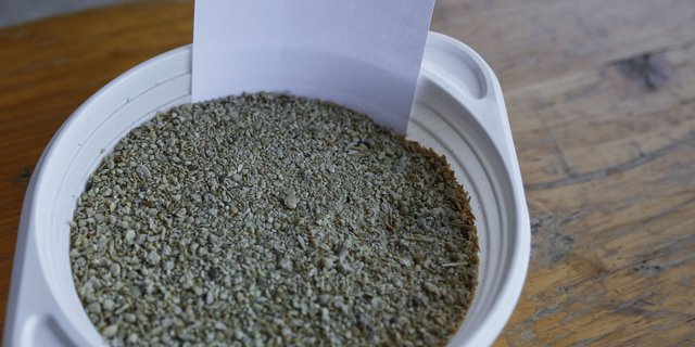 Soja-Importe sind in der Bevölkerung umstritten. Auch deshalb stammt immer mehr Soja aus Europa. (Bild ji)