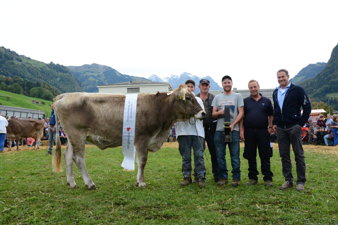 Rinder-Miss BS wurde Phil Perla von Noldi Niederberger, Buochs.