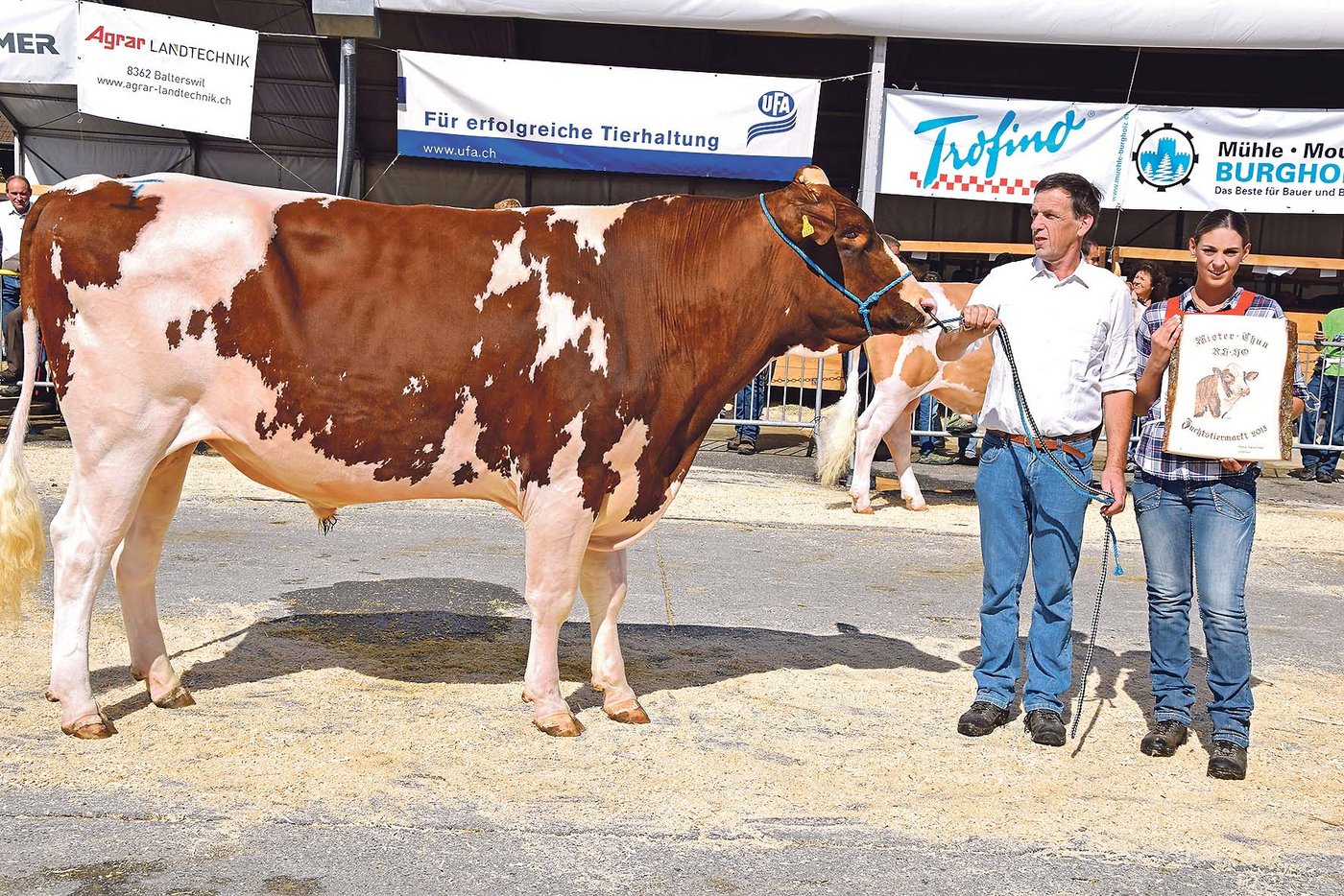 Mister Thun bei den RH-Stieren wurde Acme Ginas-Boy von Daniel und Andrea Schwarz aus Uetendorf BE. 