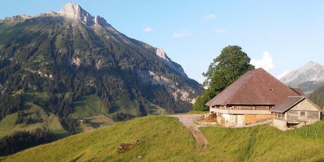 Die Alp Baumgarten liegt im Schangnau BE, oberhalb vom Kemmeriboden am östlichen Ausläufer des Hogants auf rund 1200 m ü. M. (Bild zVg)