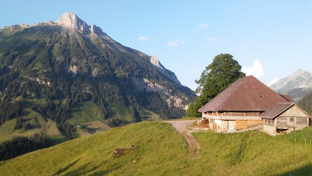 Die Alp Baumgarten liegt im Schangnau BE, oberhalb vom Kemmeriboden am östlichen Ausläufer des Hogants auf rund 1200 m ü. M. (Bild zVg)