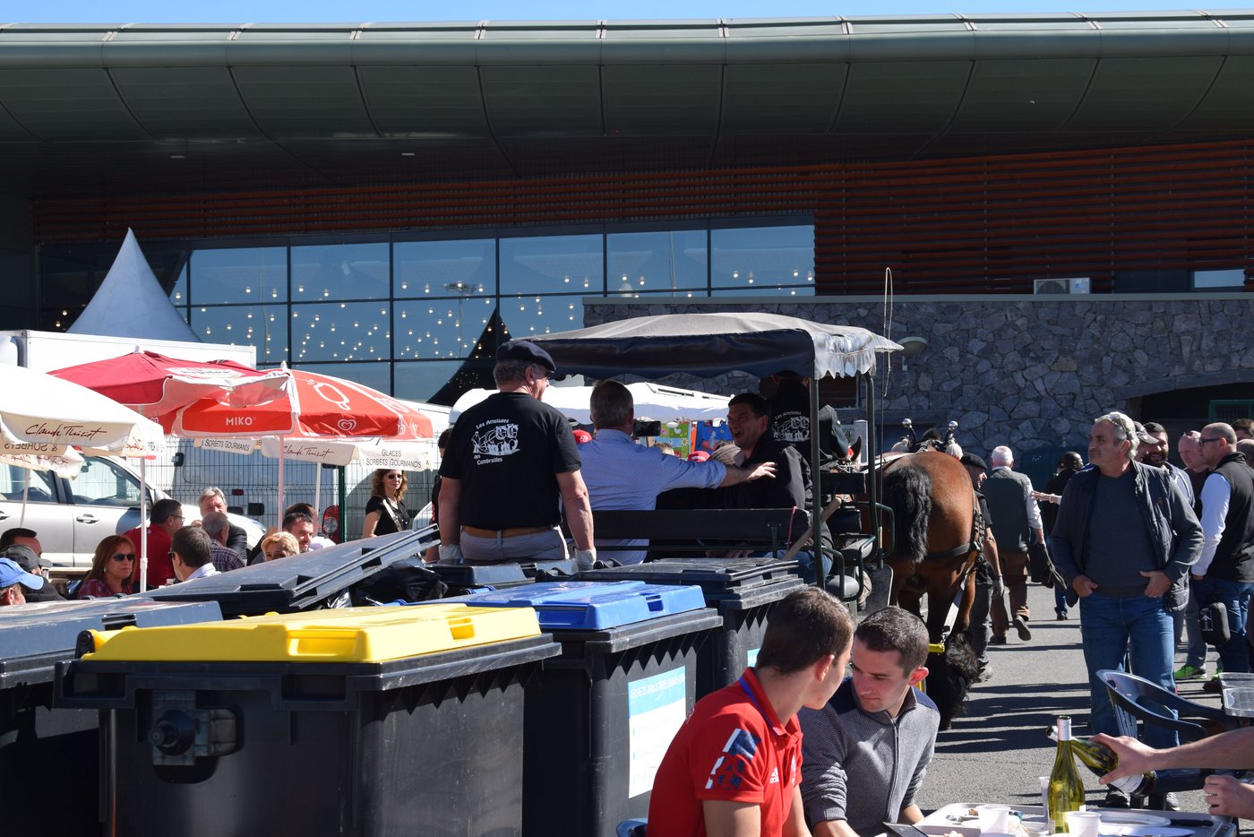 Zugpferde sind in Frankreich nach wie vor wichtig. Das wird an der Ausstellung selbst auch eindrücklich präsentiert.