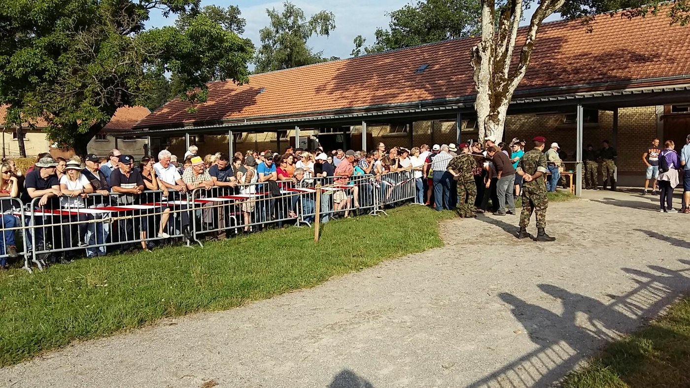 Gespannes Warten auf die Pferde.