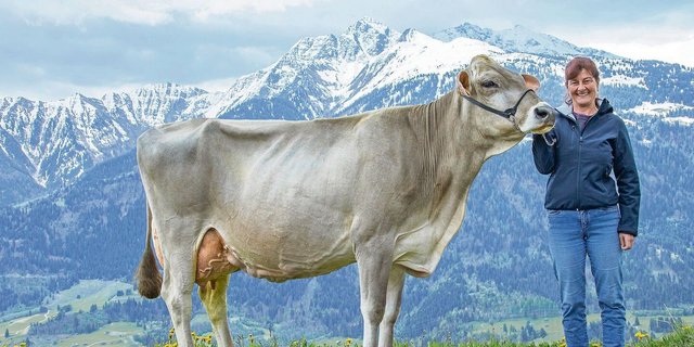 Topleistung und Langlebigkeit: Die 12-jährige Jongleur Elisa (derzeit bei 110 000 kg Milch) mit  Besitzerin Andrea Arpagaus, gezüchtet vom 2019 verstorbenen Adrian Arpagaus.