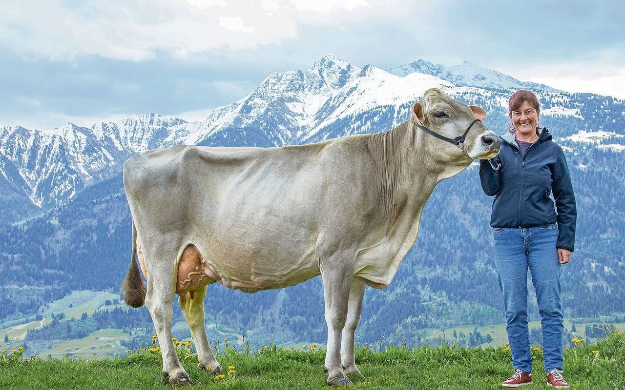 Topleistung und Langlebigkeit: Die 12-jährige Jongleur Elisa (derzeit bei 110 000 kg Milch) mit Besitzerin Andrea Arpagaus, gezüchtet vom 2019 verstorbenen Adrian Arpagaus.