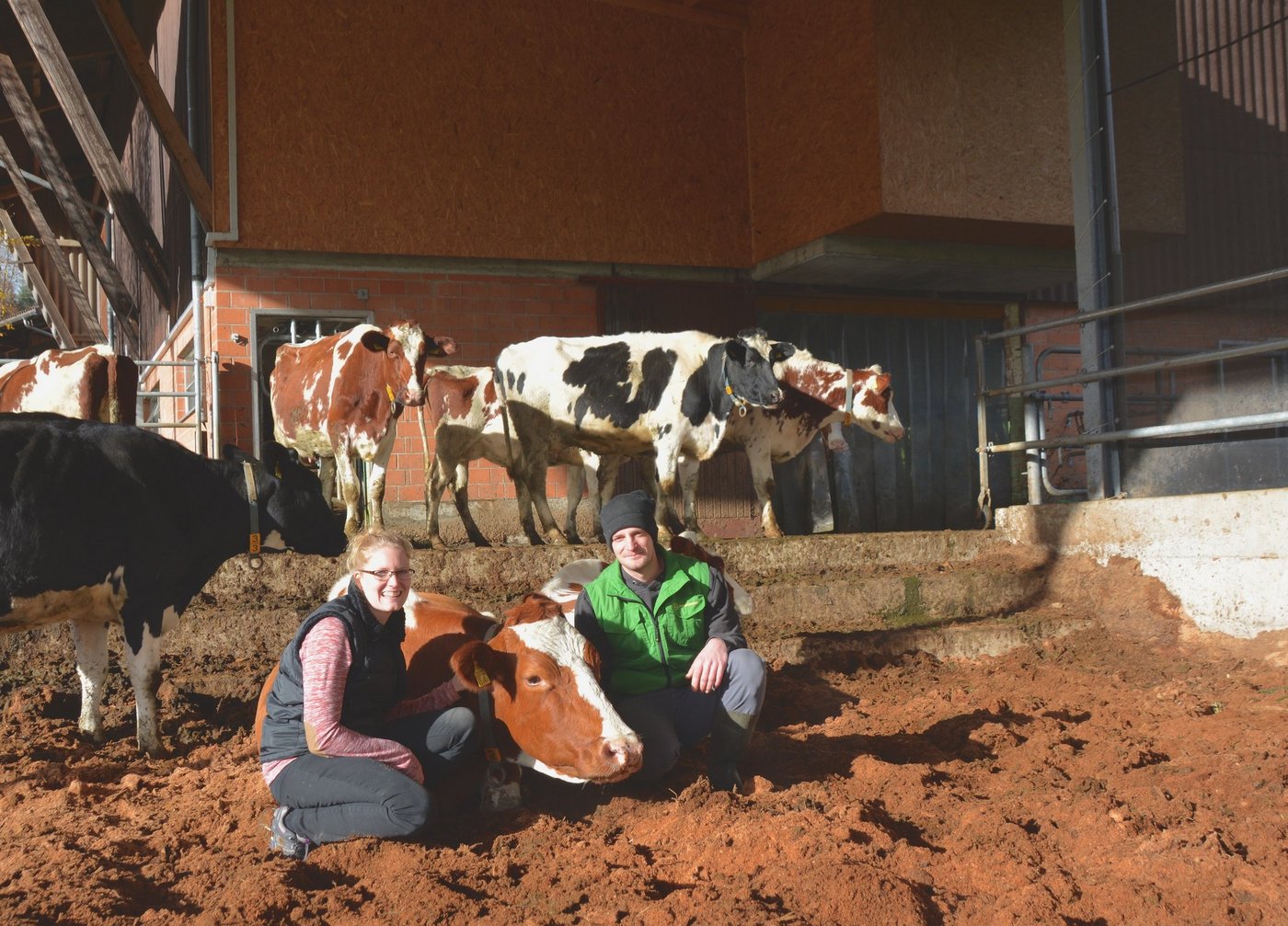 Die Kühe von Philipp Lingg und Alexandra Stutz liegen gerne auf der Kompostliegefläche. Auffällig ist laut Betriebsleiter der Rükgang von Mortellaro-Erkrankungen seit dem Stall-Umbau im Sommer 2016. (Bild Andrea Gysin)